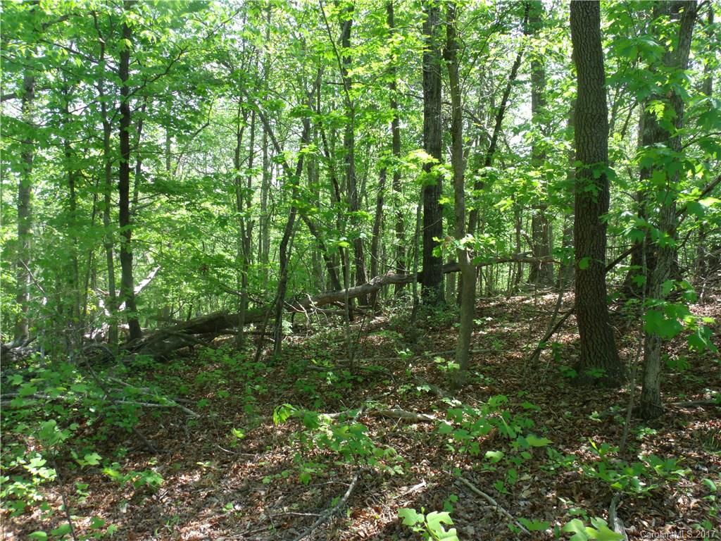 39 Hope Drive Rutherfordton, NC 28139 - Photo 4 of 4 a view of a lush green forest