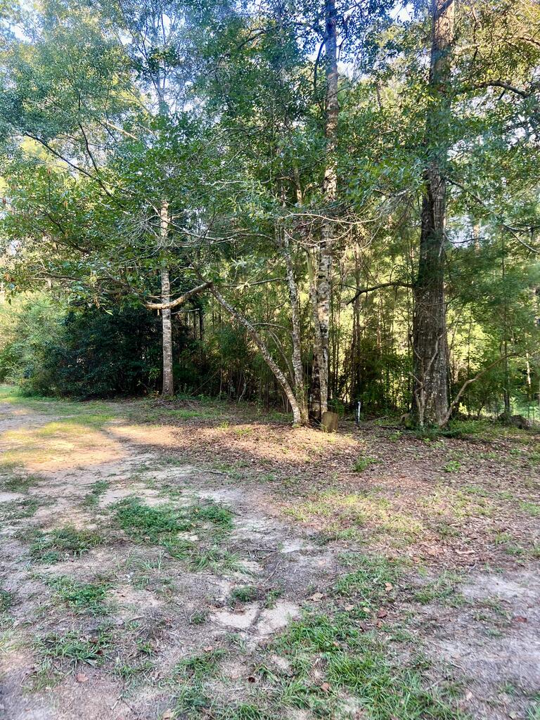 337 Sones Chapel Road Carriere, MS 39426 - Photo 29 of 35 Gallery Image 29
