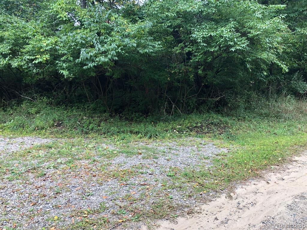 4570 Blood Road Metamora, MI 48455 - Photo 2 of 33 Gallery Image 2