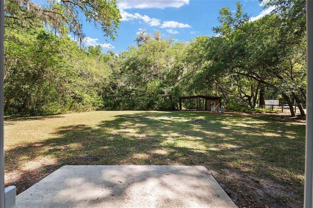 4329 Northwest 155th Street Reddick, FL 32686 - Photo 43 of 52 a view of a trees with a yard