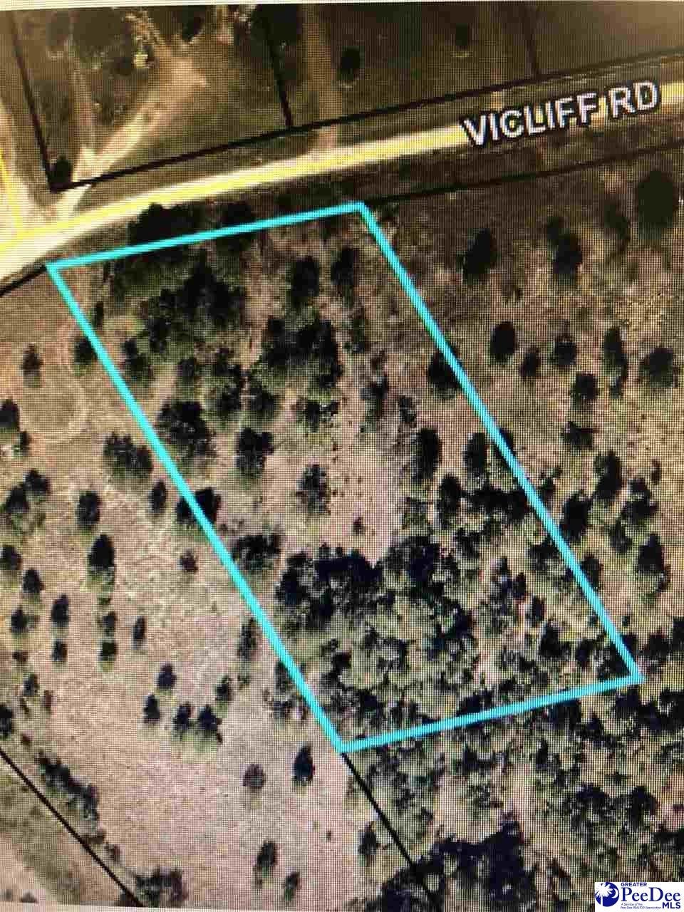 Tbd Tbd Vi Cliff Road Darlington, SC 29532 - Photo 1 of 1 Gallery Image 1