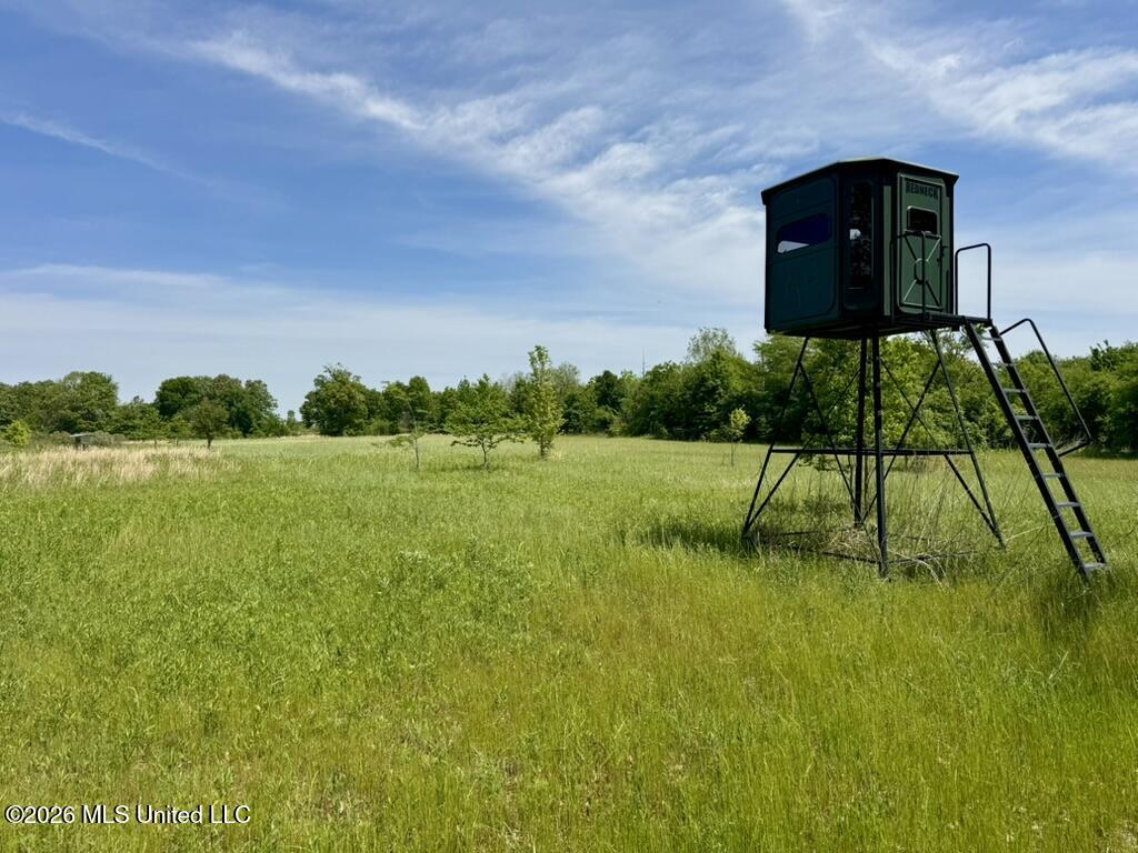 1 Highway 3 Lambert, MS 38643 - Photo 7 of 102 58A82869-D8CA-4559-AF4C-001B90951C95_1_1