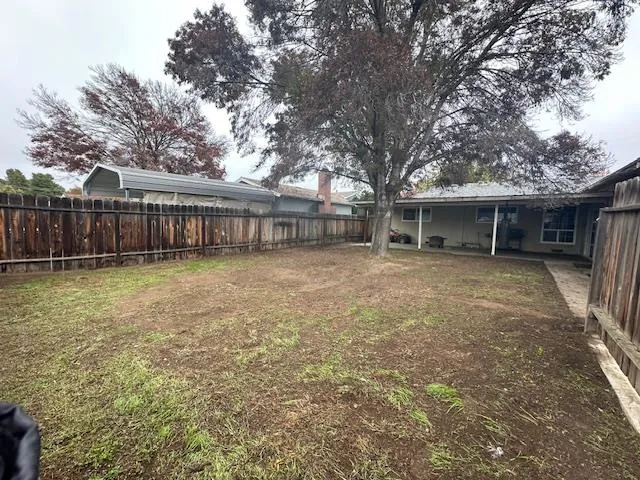 a view of a yard with a large tree and wooden fence