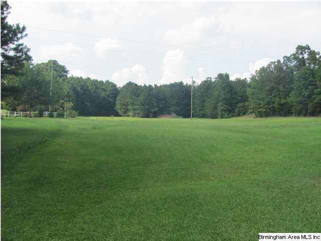 100 Cahaba Oaks Trail Pelham, AL 35124 - Photo 1 of 24