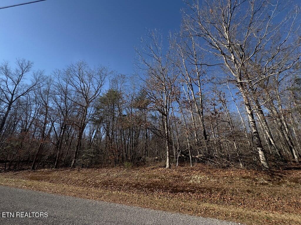 0 Ann Road Monterey, TN 38574 - Photo 2 of 6 241181_1