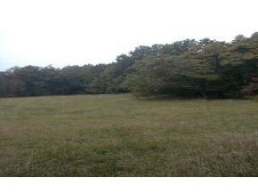 Tract 2 Thacker Road Bloomington, IN 47403 - Photo 2 of 6