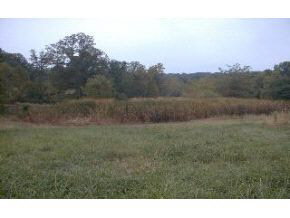 Tract 2 Thacker Road Bloomington, IN 47403 - Photo 4 of 6