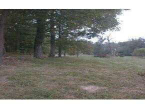 Tract 2 Thacker Road Bloomington, IN 47403 - Photo 6 of 6