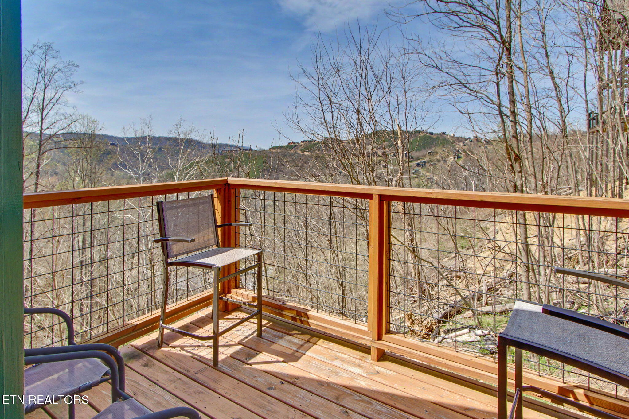 309 Tower Road Gatlinburg, TN 37738 - Photo 35 of 45 IMG_9839