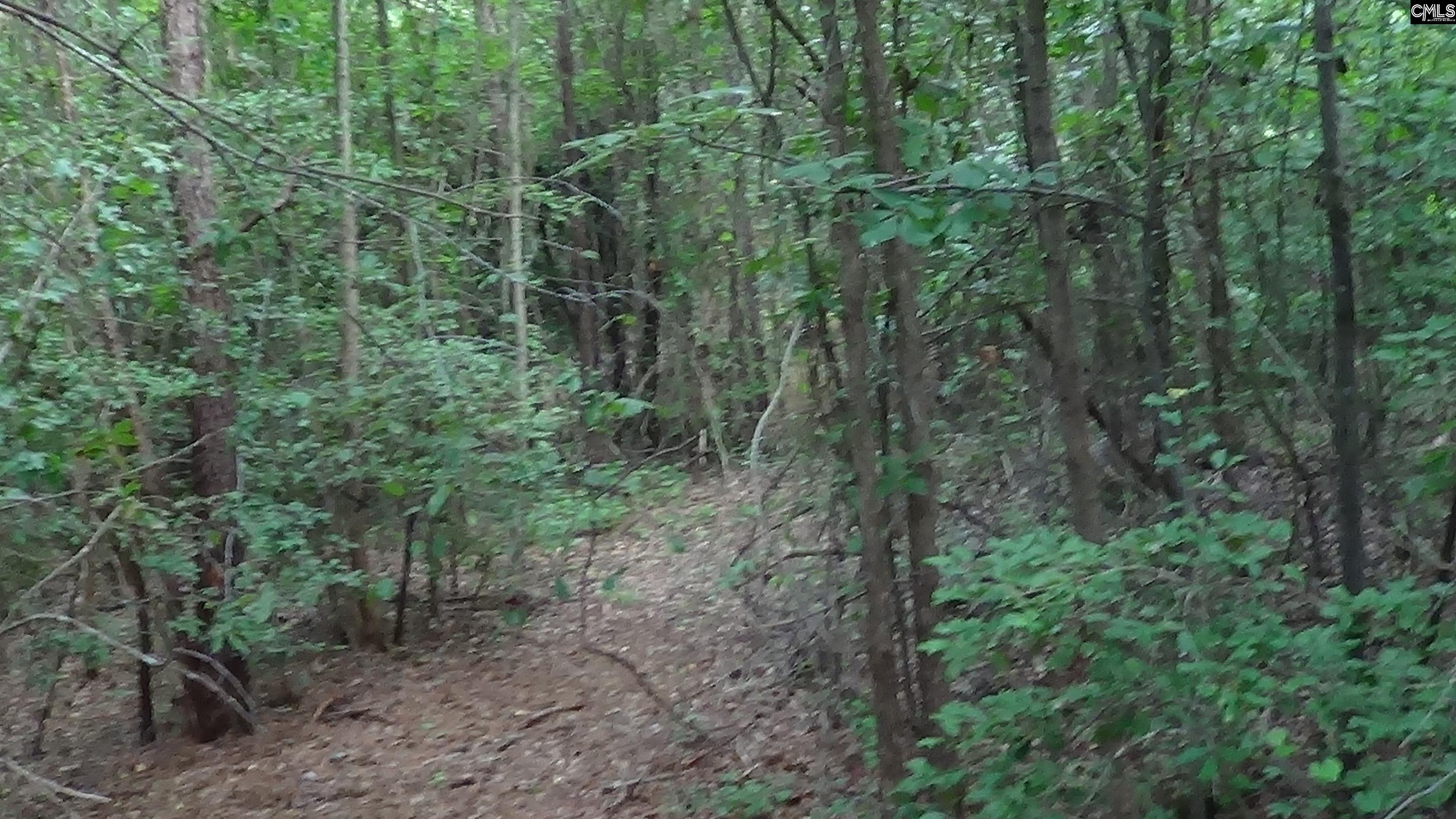 2815 Highway 1 Elgin, SC 29045 - Photo 9 of 17