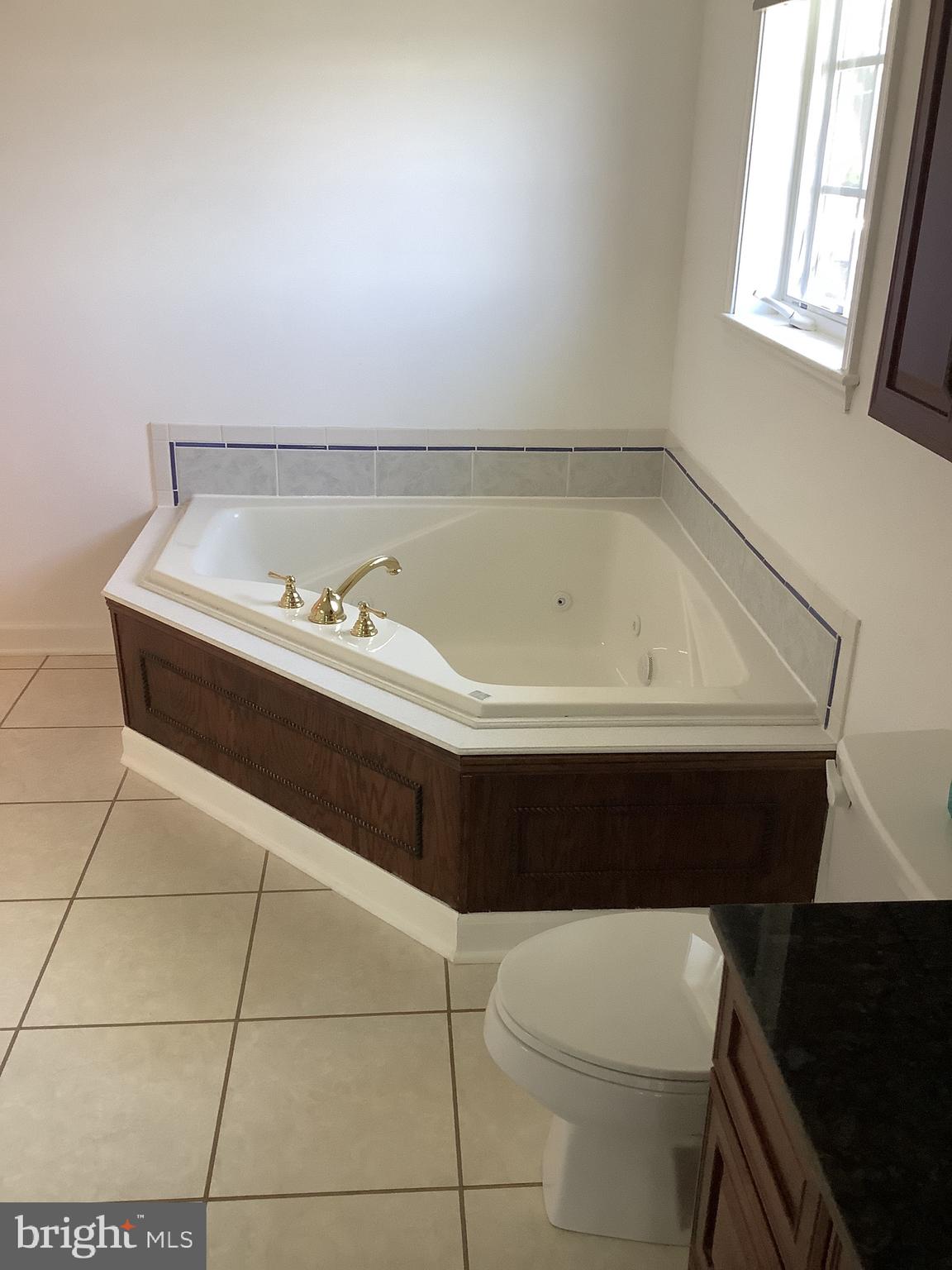 2822 Bay Sparrows Point Sparrows Point, MD 21219 - Photo 51 of 73 Jacuzzi Garden Tub