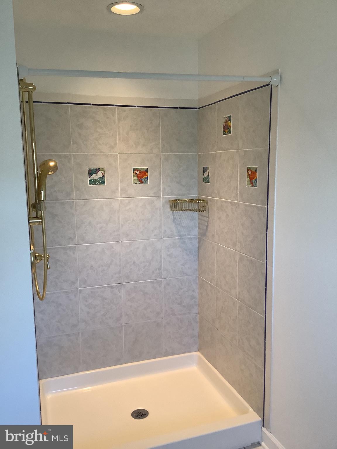 2822 Bay Sparrows Point Sparrows Point, MD 21219 - Photo 52 of 73 Stand up Shower in master bathroom