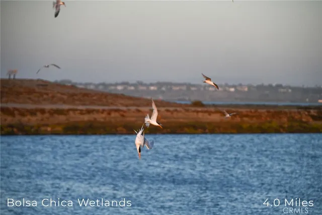 a view of swimming pool with outdoor seating