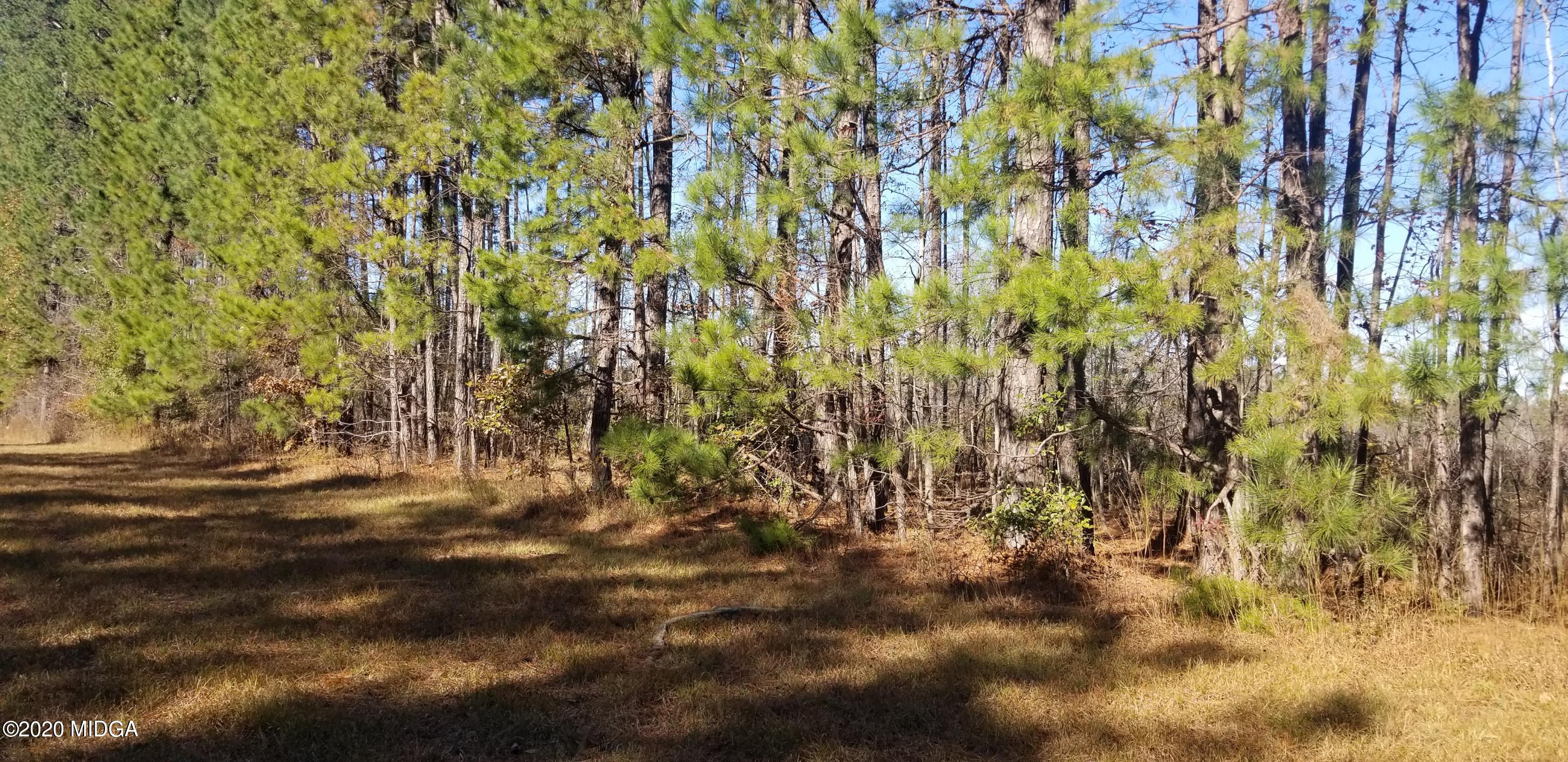 0 Fortville Road Gray, GA 31032 - Photo 1 of 4 a view of field with trees in the background