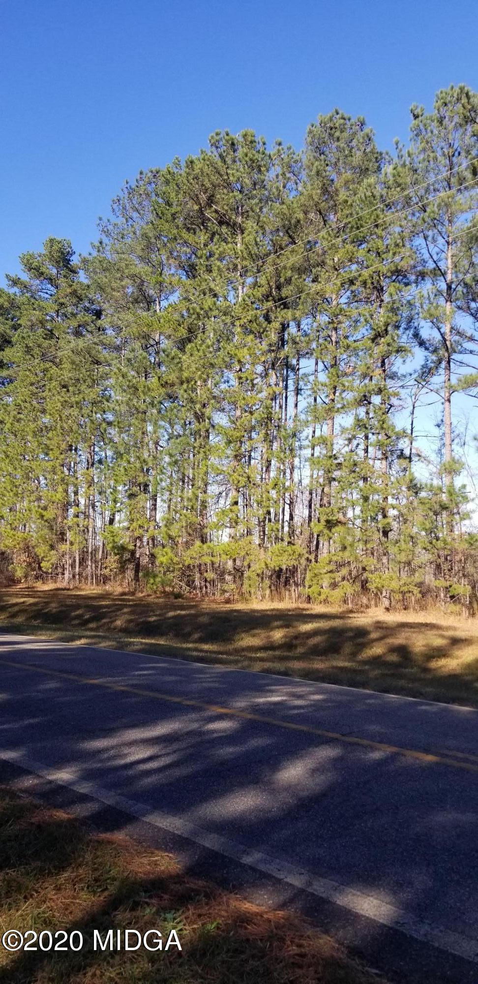 0 Fortville Road Gray, GA 31032 - Photo 2 of 4