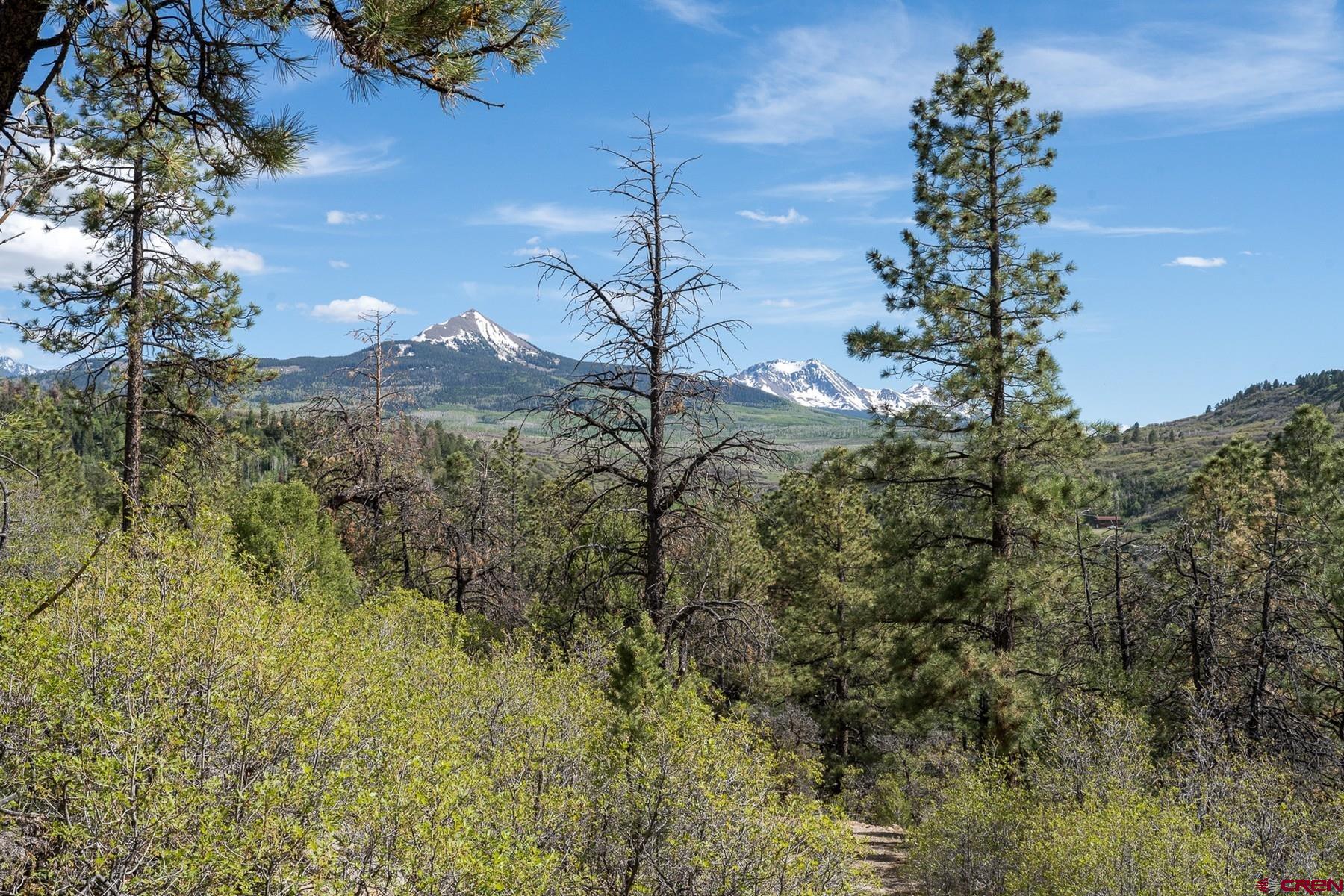 Tract 13-5 M44 Road Placerville, CO 81430 - Photo 11 of 22 Gallery Image 11
