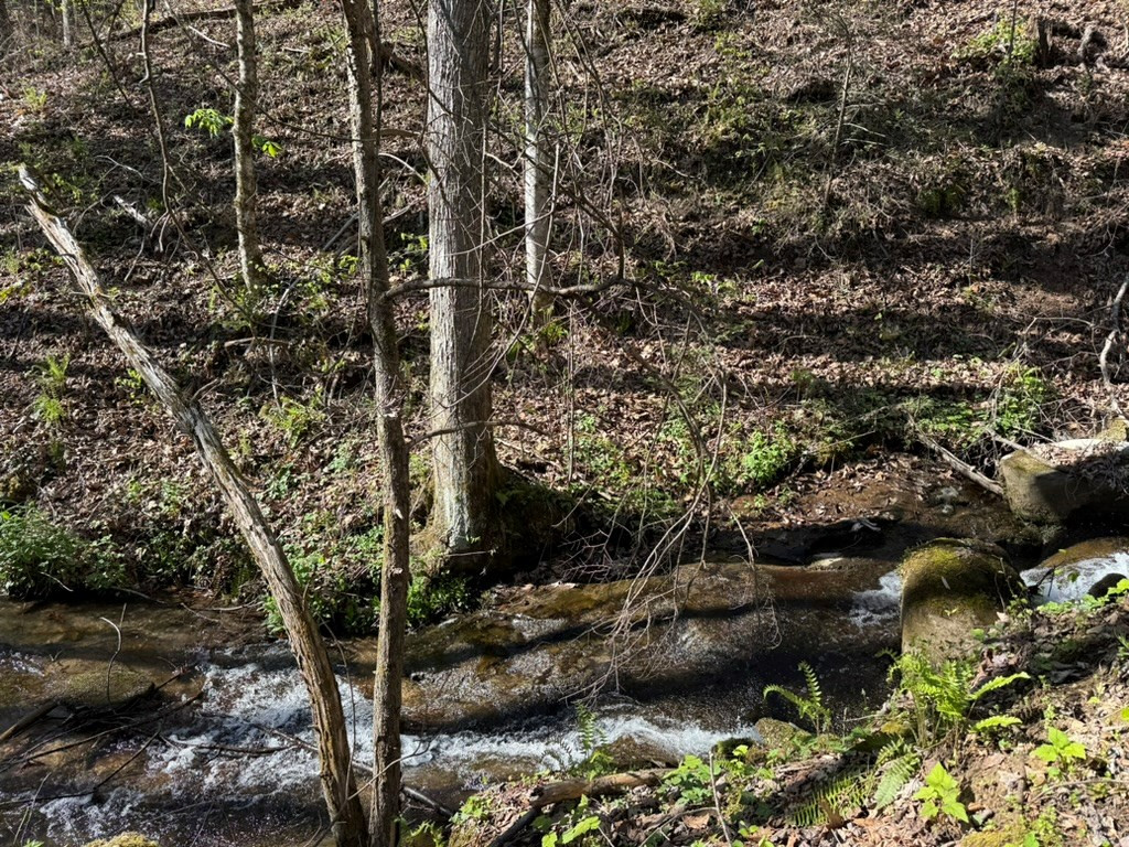 Tbd Clearview Lane Murphy, NC 28906 - Photo 4 of 29 Creek