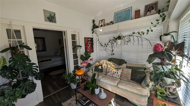 a living room with furniture and a potted plant