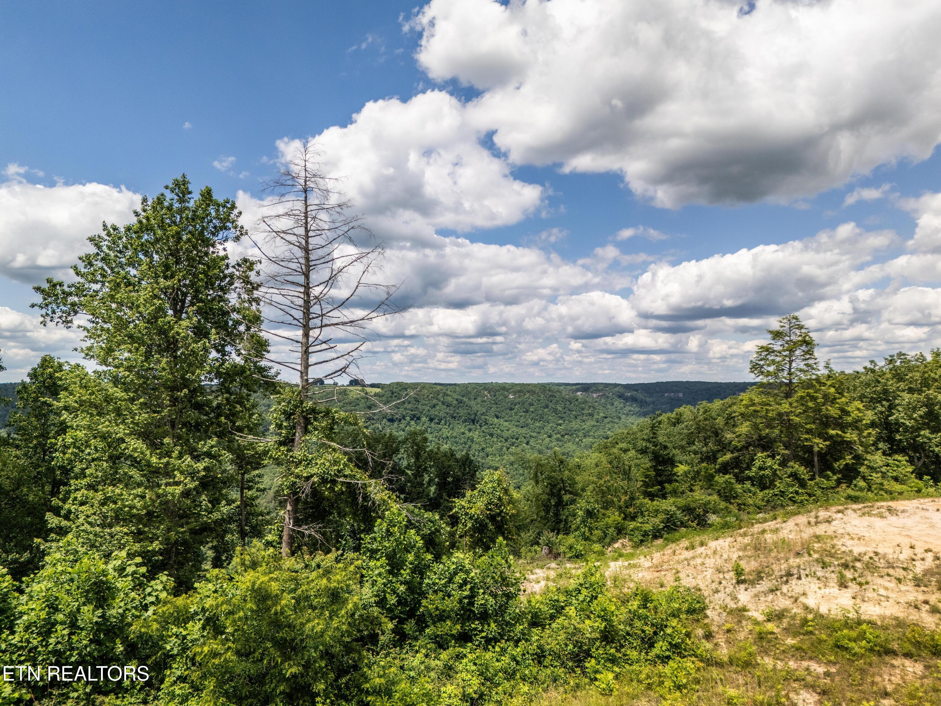 1.93-ac Glenobey Road Jamestown, TN 38556 - Photo 1 of 15 DJI_20240530134902_0395_D