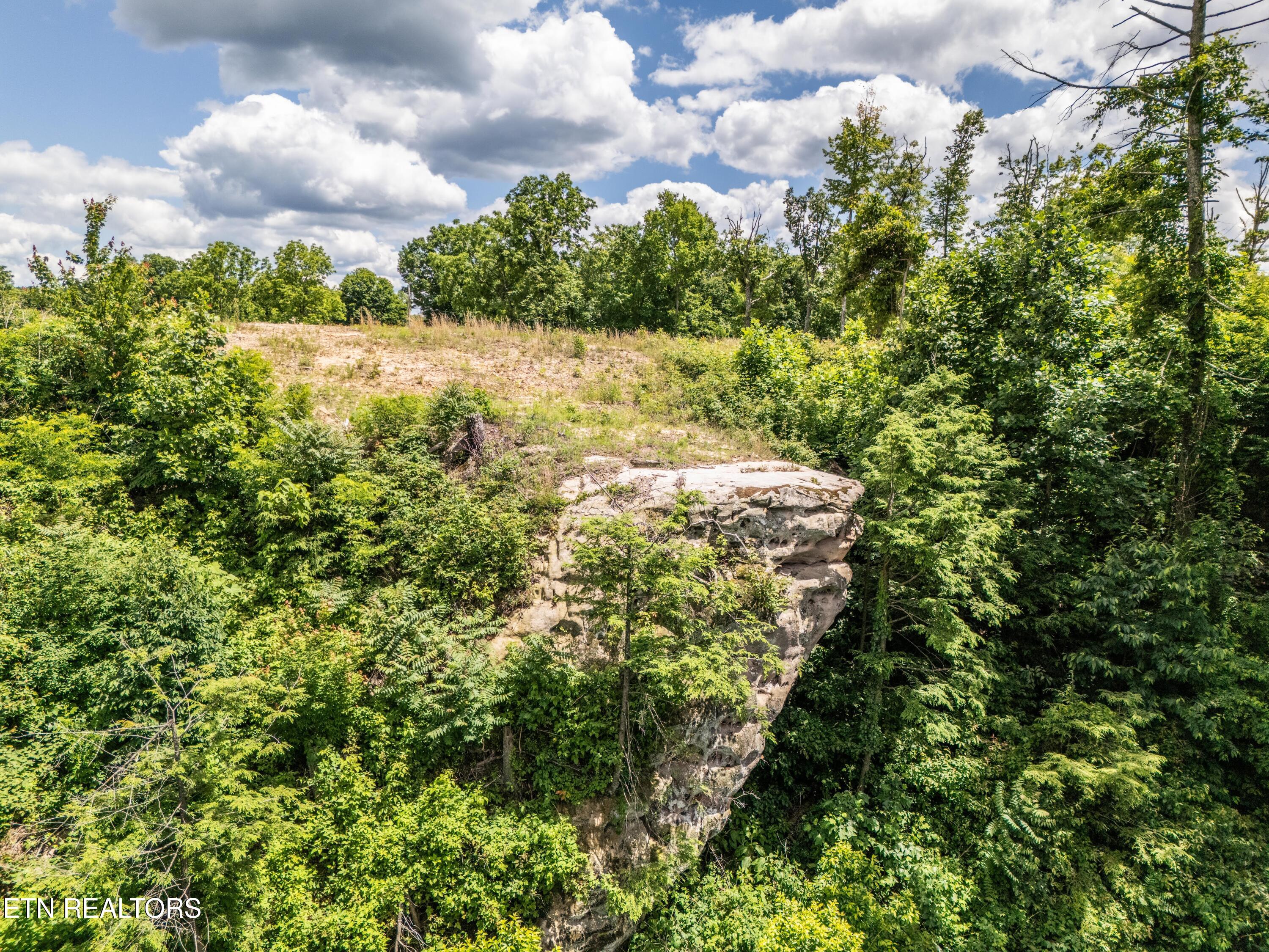 1.93-ac Glenobey Road Jamestown, TN 38556 - Photo 11 of 15 DJI_20240530135129_0407_D