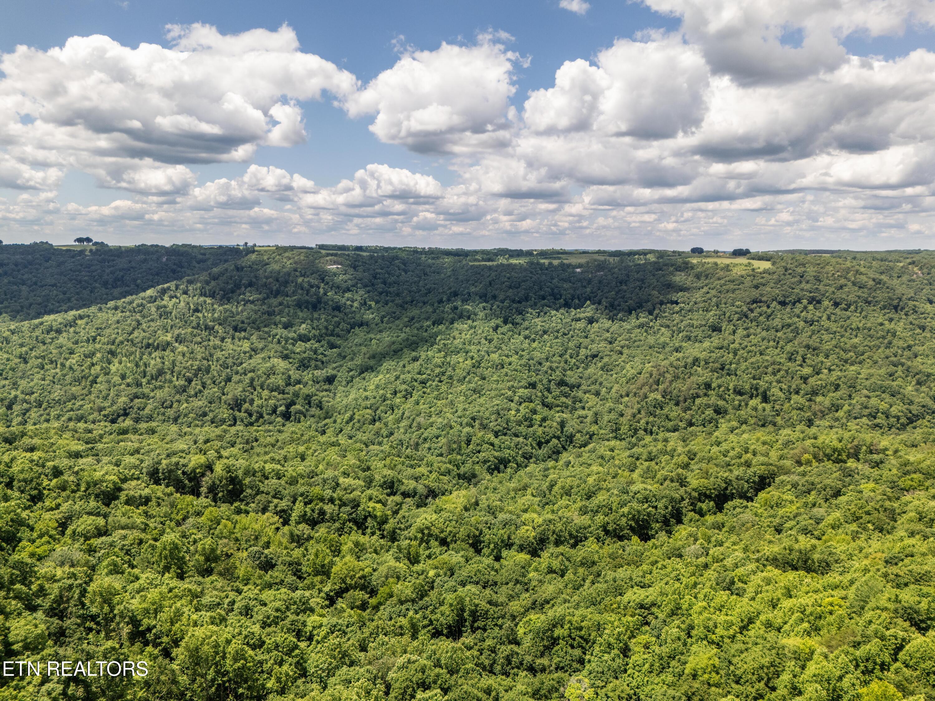 1.93-ac Glenobey Road Jamestown, TN 38556 - Photo 12 of 15 DJI_20240530135150_0409_D