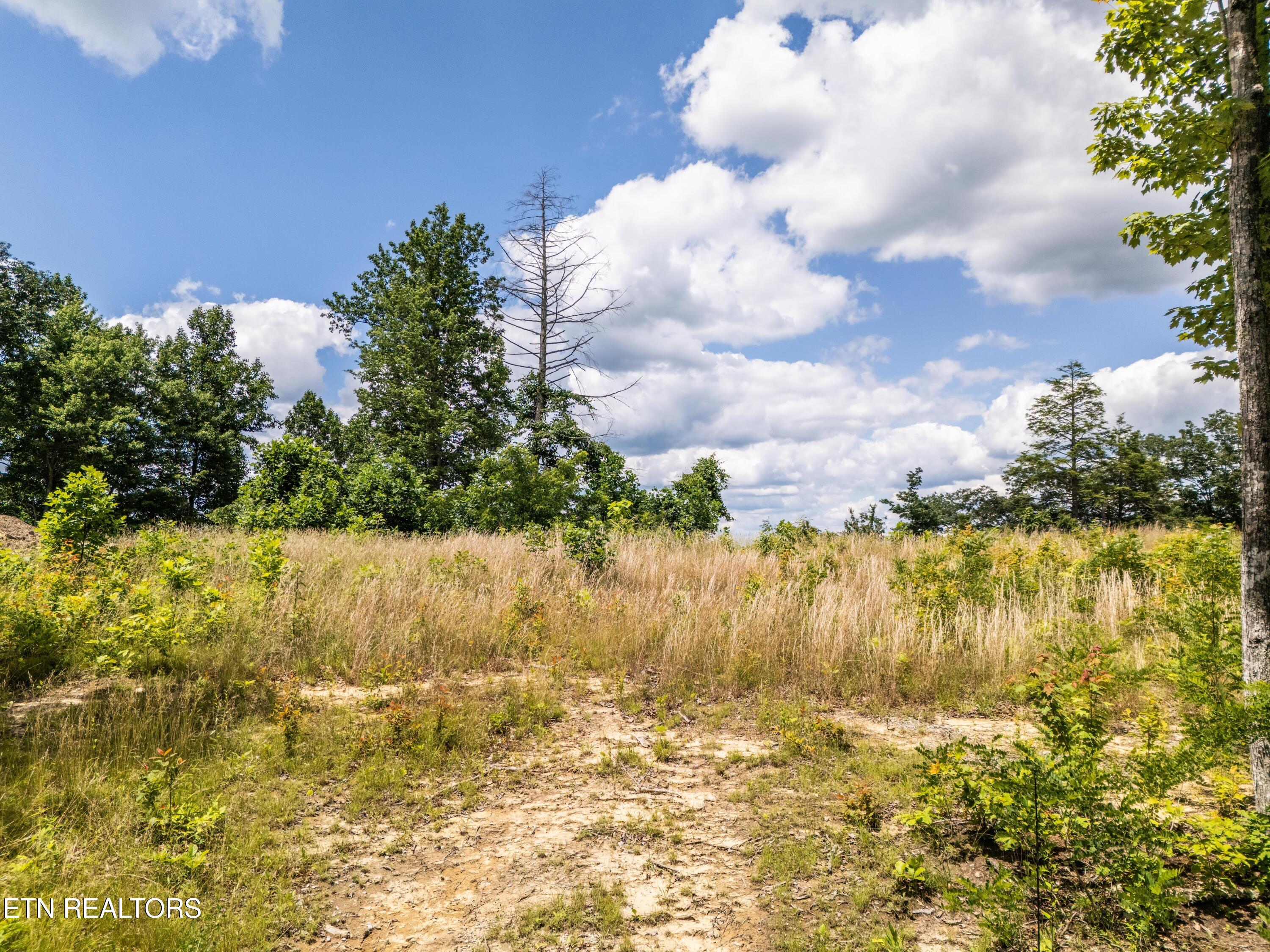 1.93-ac Glenobey Road Jamestown, TN 38556 - Photo 2 of 15 DJI_20240530134847_0394_D