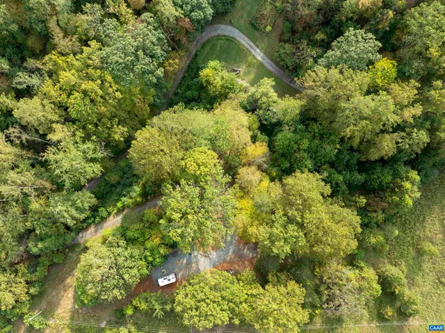 a view of a garden with plants