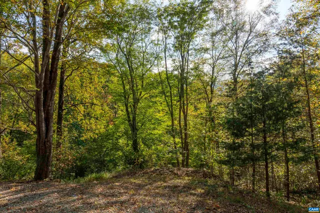 a view of a yard with trees in front of it