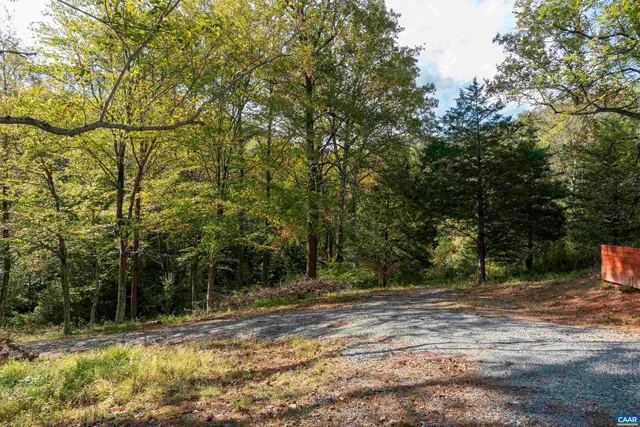a view of a yard with large trees