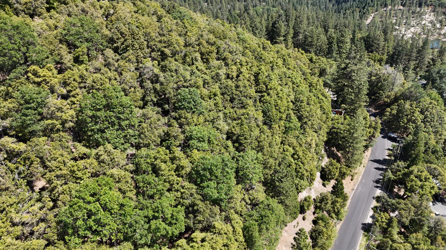 13305 Summit Ridge Drive Nevada City, CA 95959 - Photo 2 of 10 a view of a lush green field
