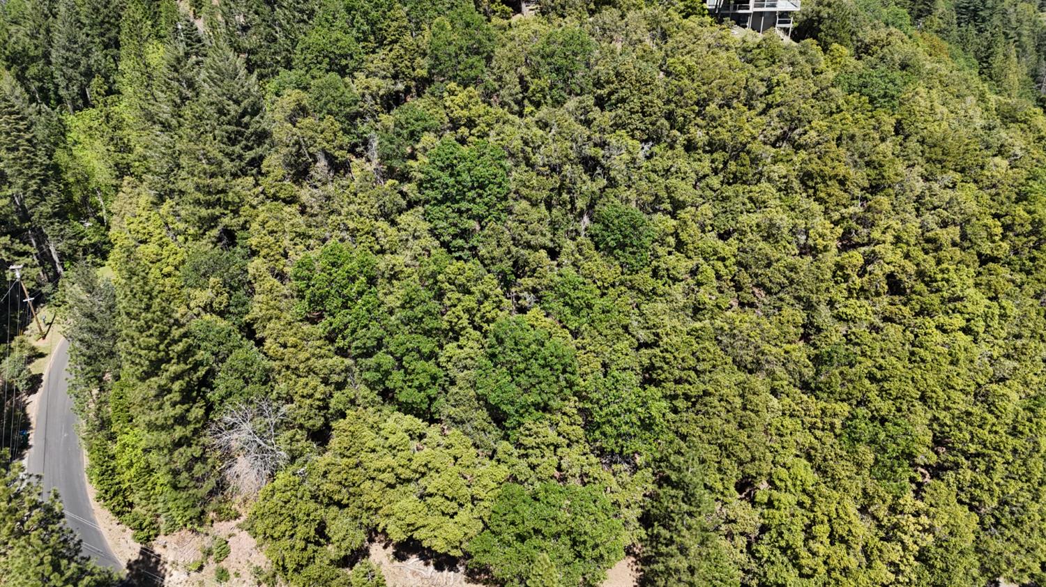 13305 Summit Ridge Drive Nevada City, CA 95959 - Photo 3 of 10 a view of a lush green field