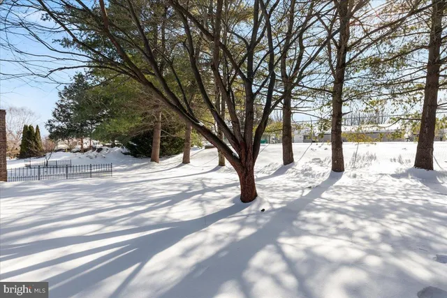 a view of empty space with trees