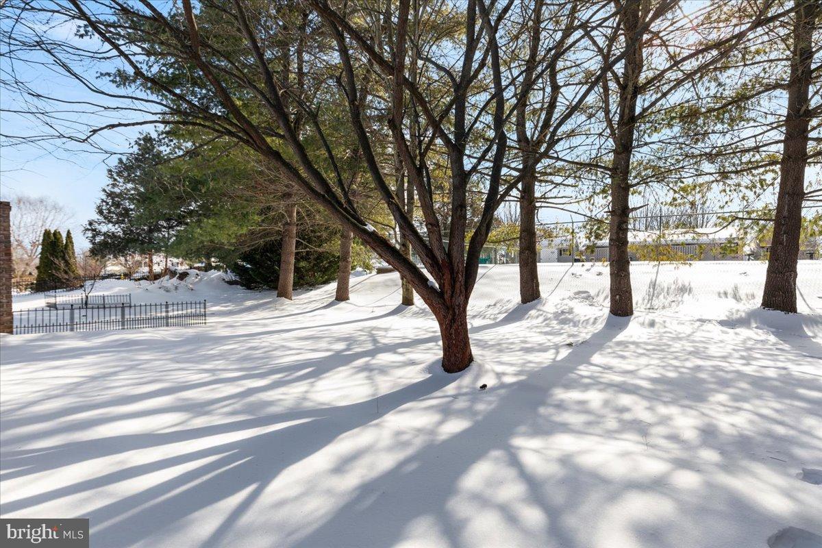 14 Ambler Lane Falling Waters, WV 25419 - Photo 34 of 43 View from backyard