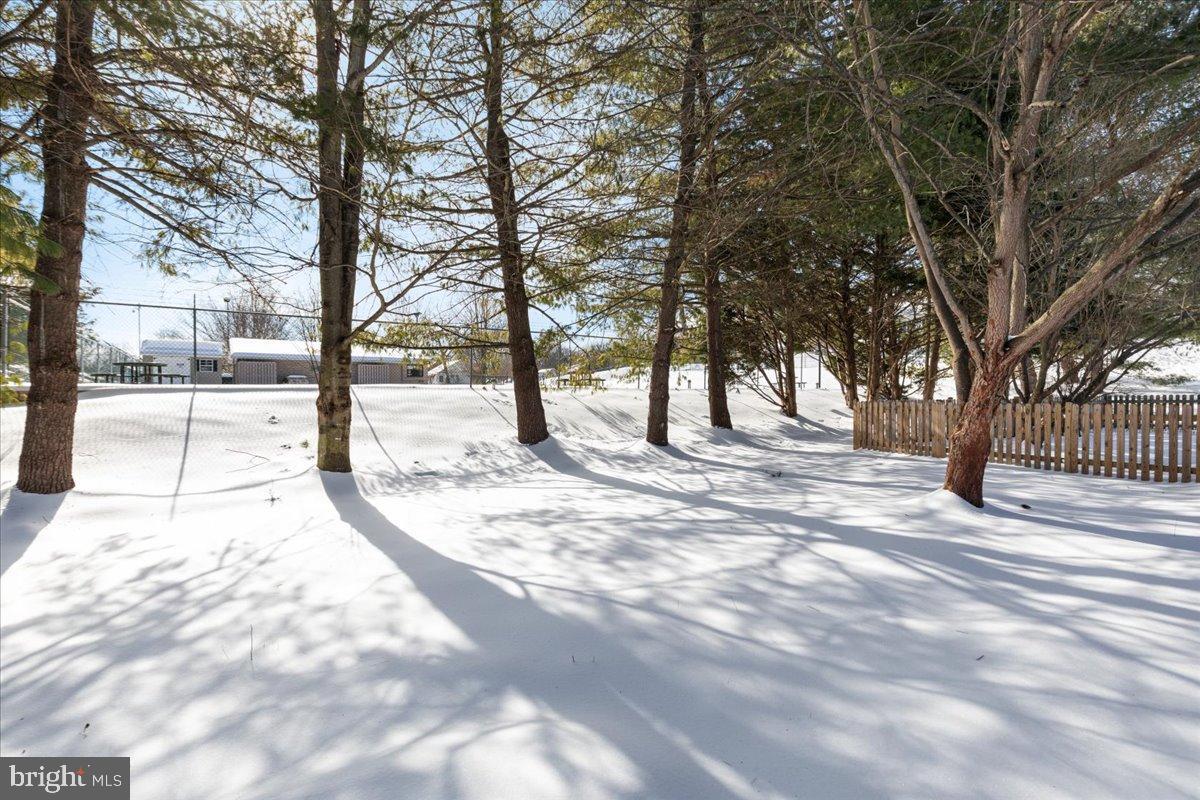 14 Ambler Lane Falling Waters, WV 25419 - Photo 35 of 43 View from backyard