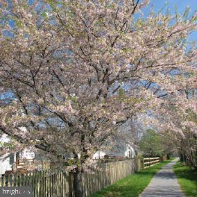 14 Ambler Lane Falling Waters, WV 25419 - Photo 43 of 43 Spring Mills walking paths