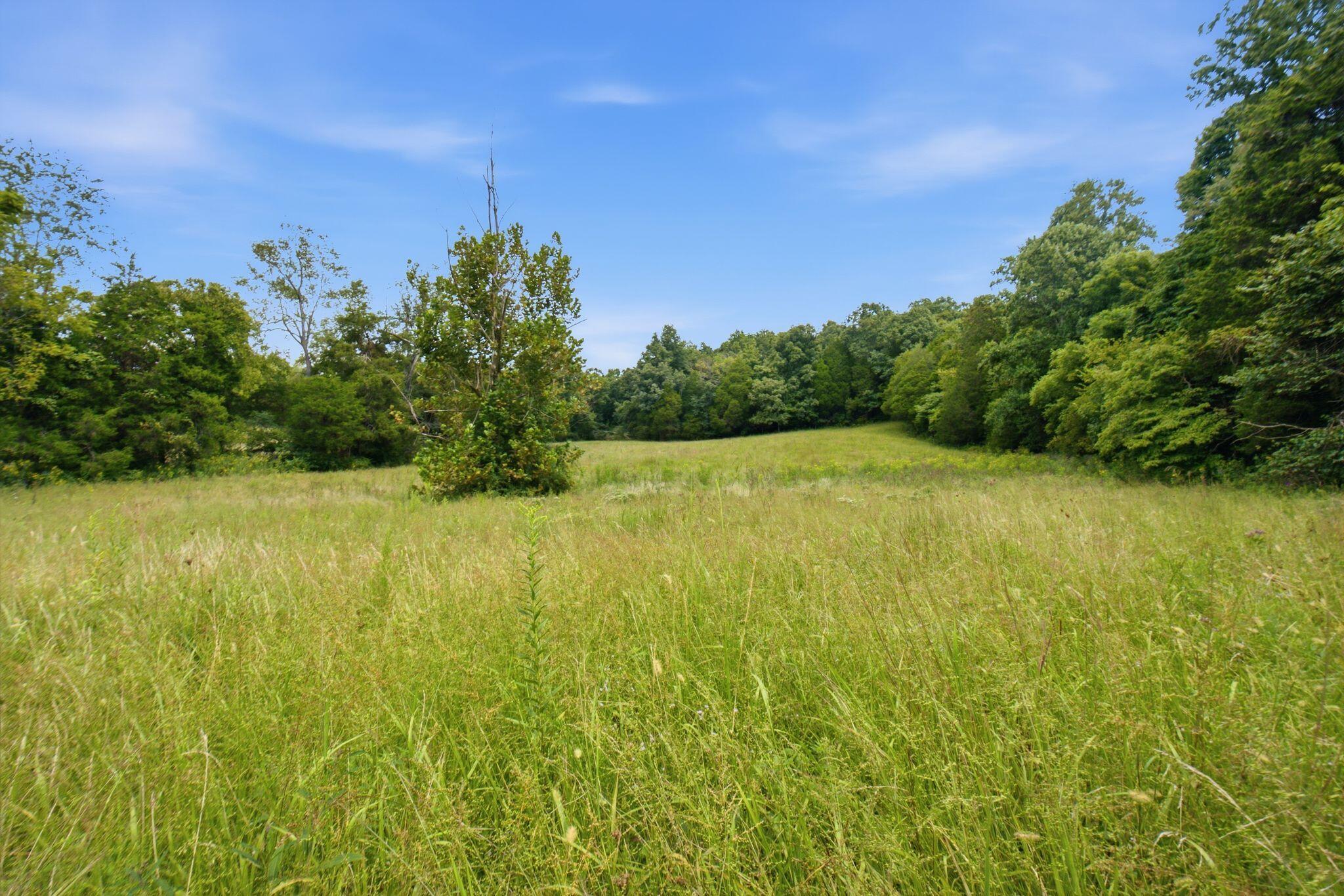15529 St John Road, Unit TRACT #2 Rineyville, KY 40162 - Photo 30 of 39 dsc04602