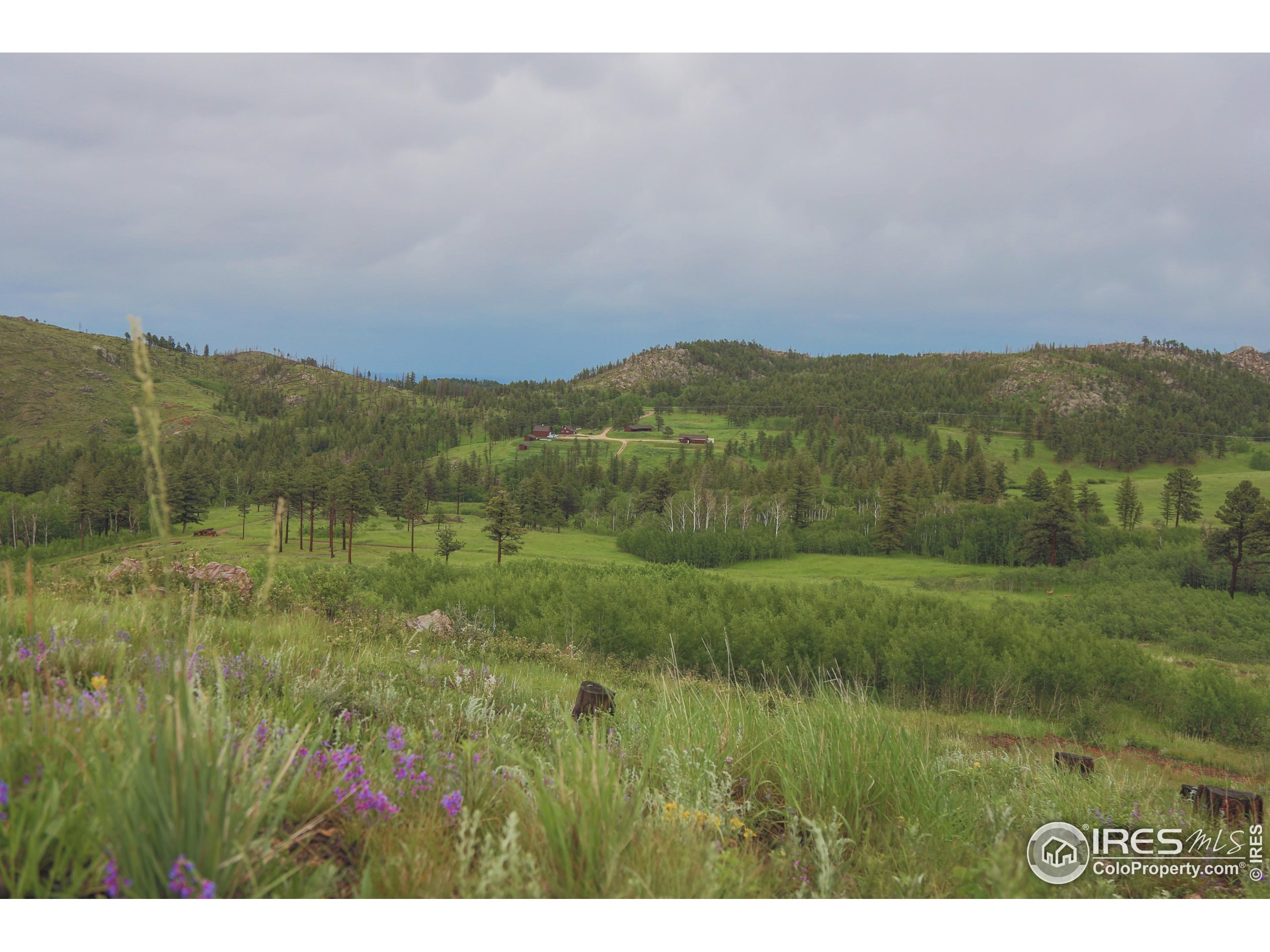 a view of a lush green hillside and a building