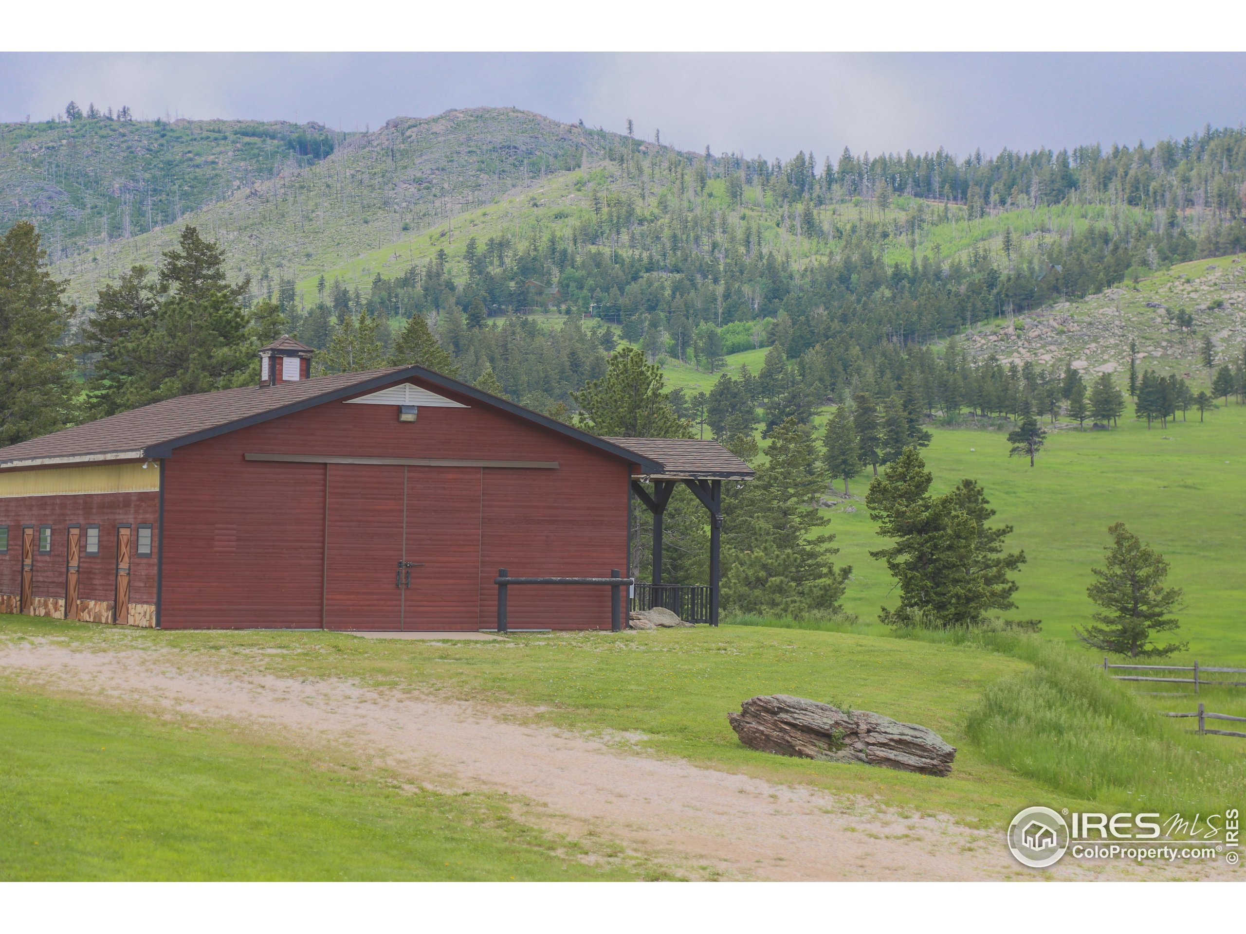 14884 Rist Canyon Road Bellvue, CO 80512 - Photo 22 of 40 a view of a yard in front of a house with a yard