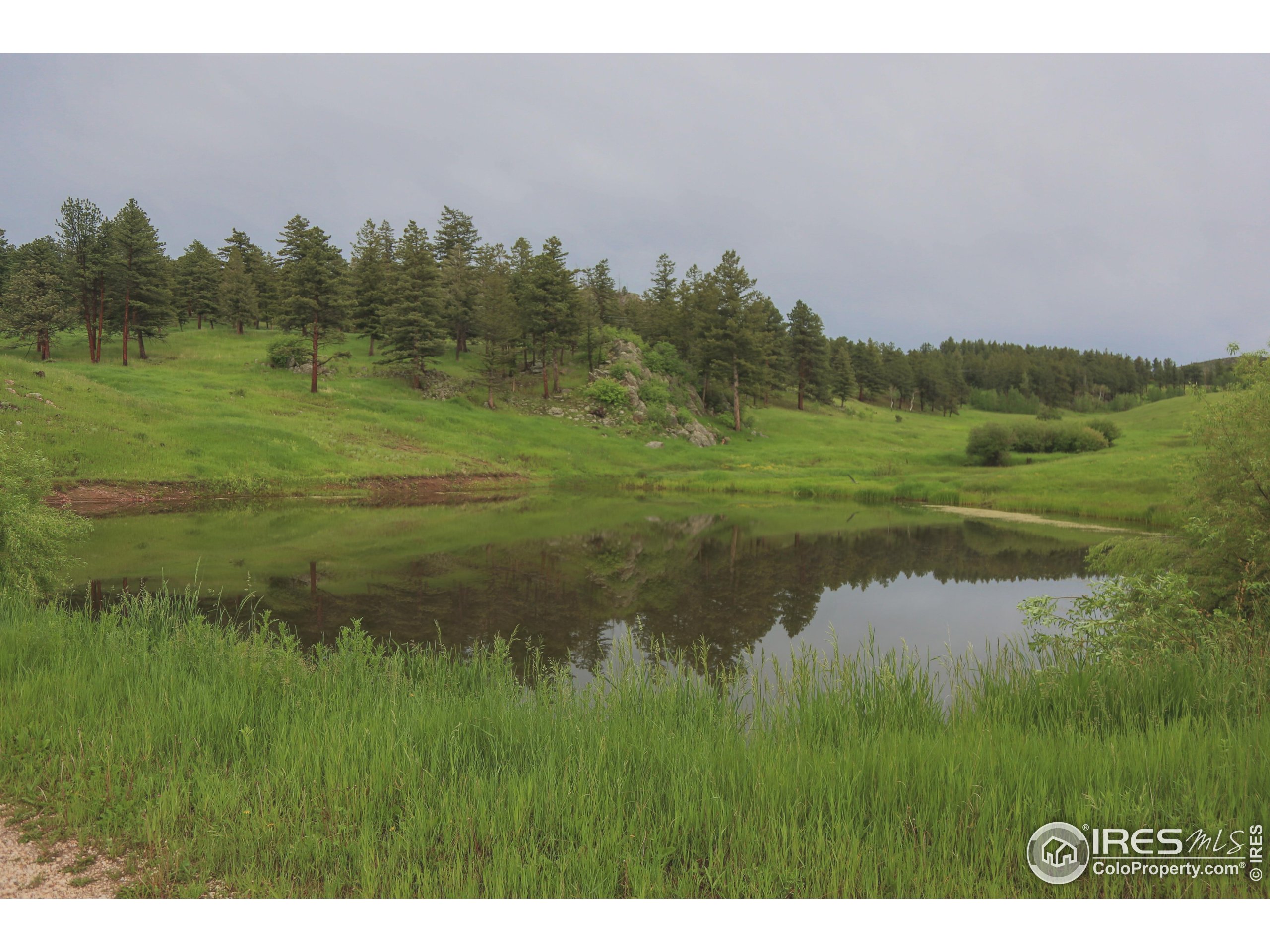 14884 Rist Canyon Road Bellvue, CO 80512 - Photo 25 of 40 a view of a lake with a yard