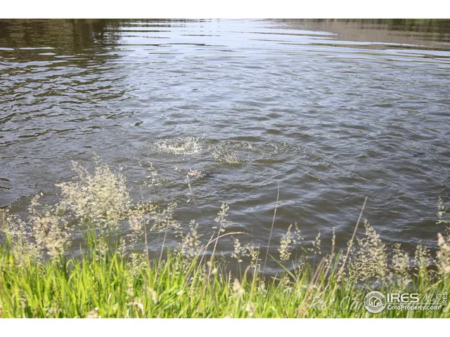 a open area with mountains in the background