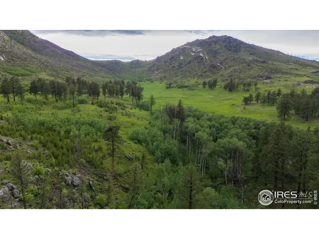 a view of a lush green hillside and a houses