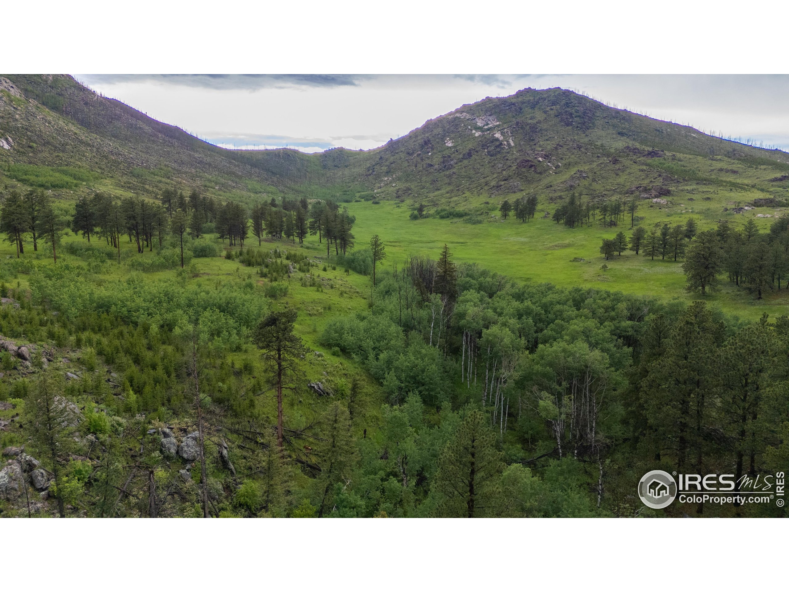 14884 Rist Canyon Road Bellvue, CO 80512 - Photo 27 of 40 a open area with mountains in the background
