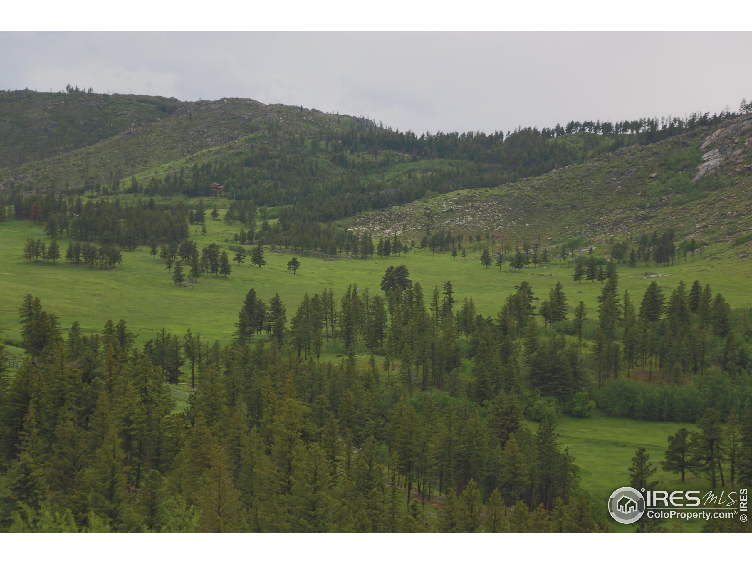 14884 Rist Canyon Road Bellvue, CO 80512 - Photo 28 of 40 a view of a lush green hillside and a houses