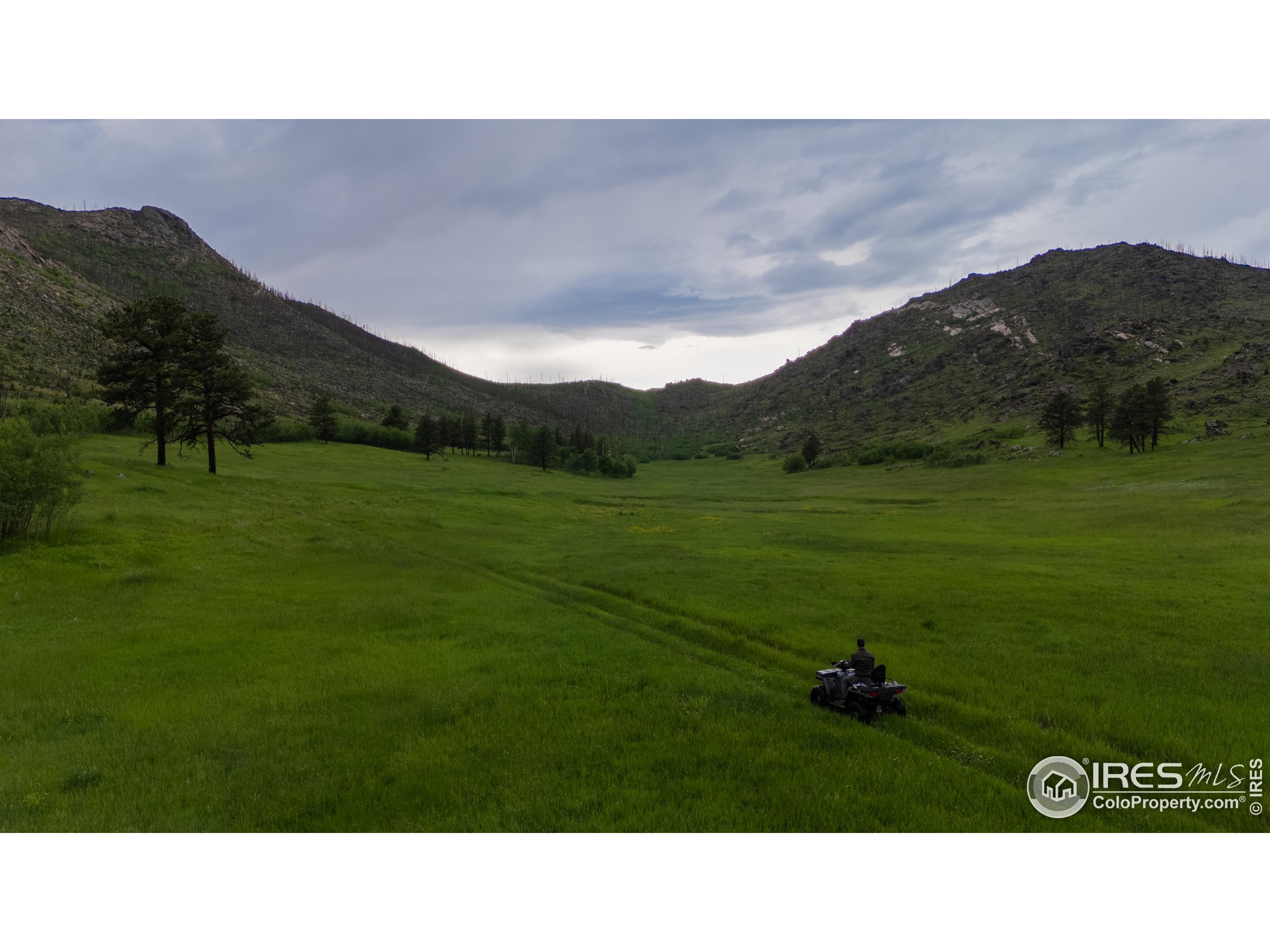 14884 Rist Canyon Road Bellvue, CO 80512 - Photo 34 of 40 a black and white photo of a field