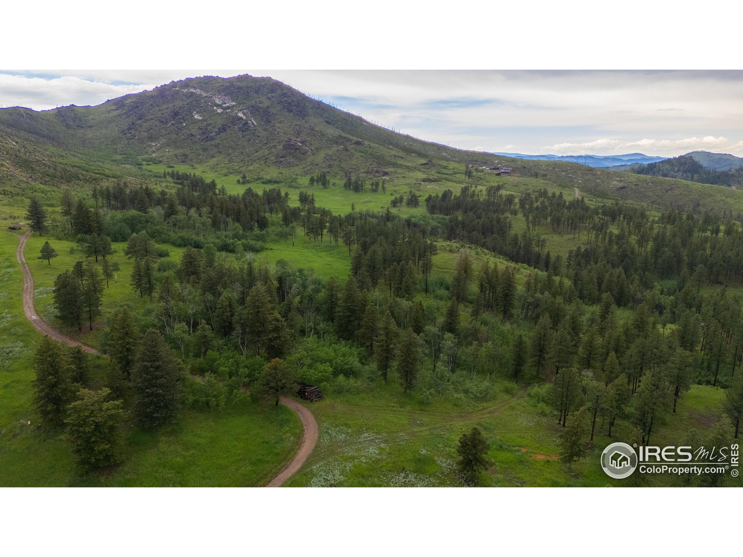 14884 Rist Canyon Road Bellvue, CO 80512 - Photo 35 of 40