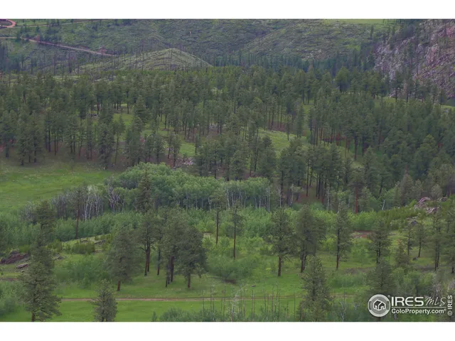 a view of a lush green field