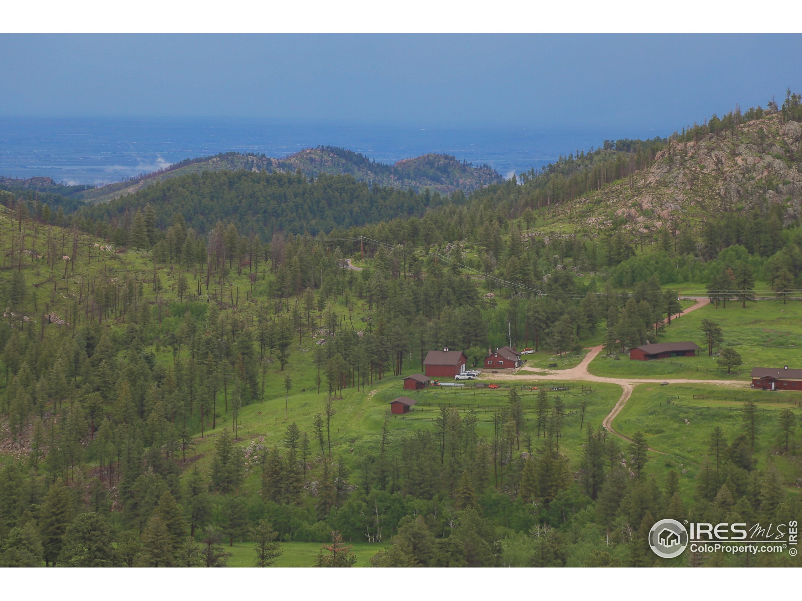 14884 Rist Canyon Road Bellvue, CO 80512 - Photo 6 of 40 a view of a lush green hillside and a houses