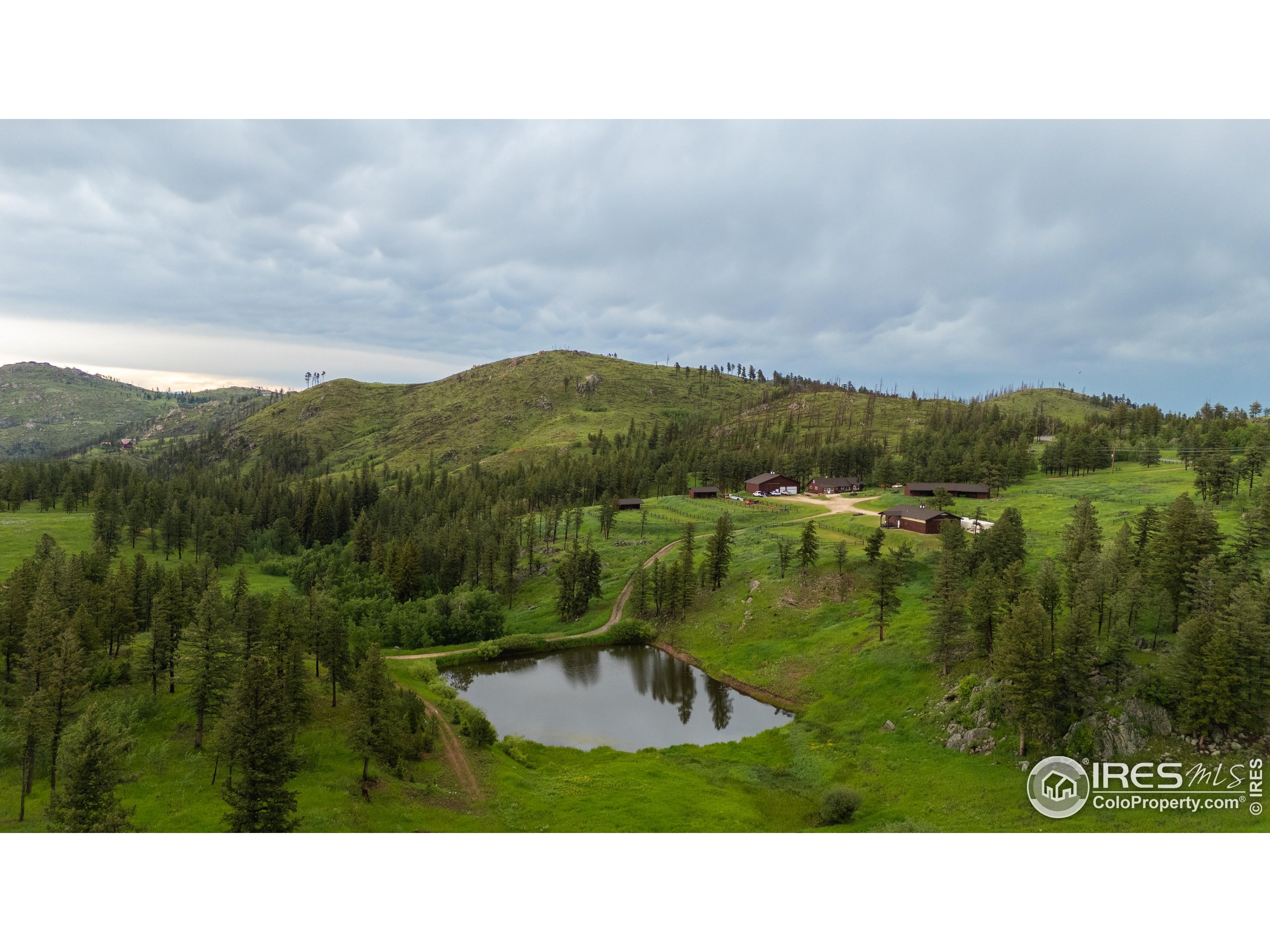 14884 Rist Canyon Road Bellvue, CO 80512 - Photo 7 of 40