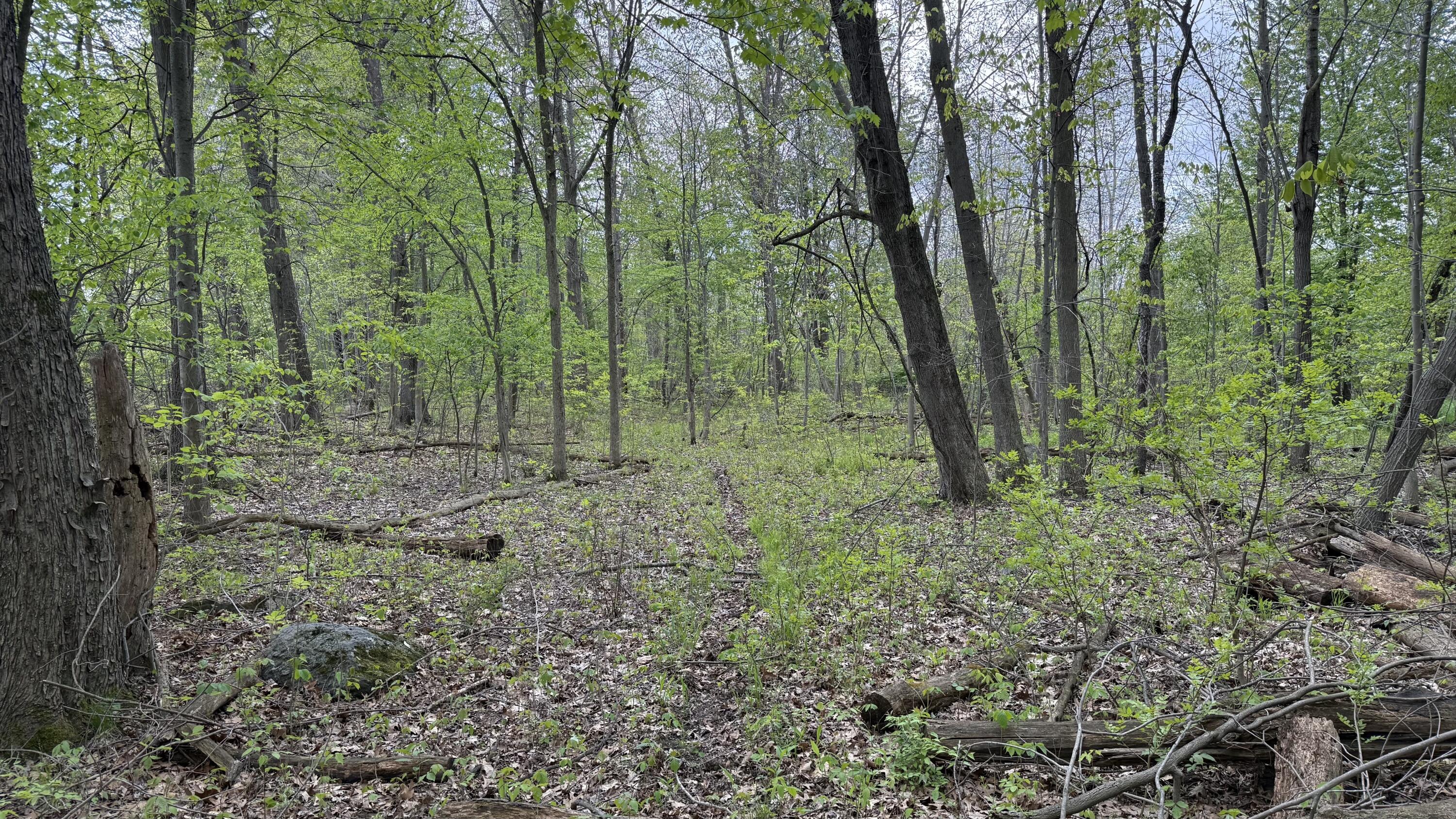 3 Bunkerhill Road Jackson, MI 49201 - Photo 16 of 16 IMG_5810