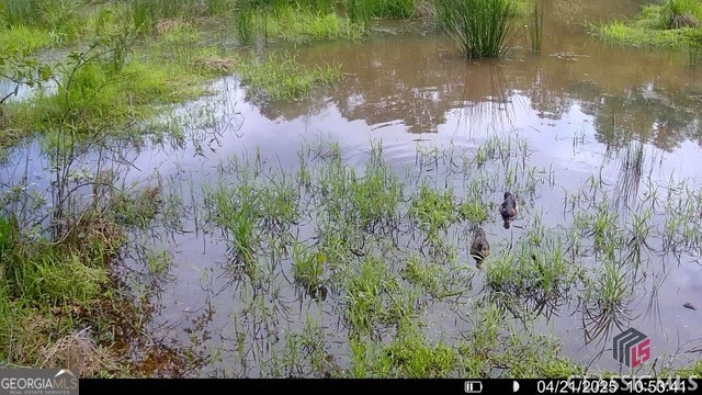 0 Moore Road Elberton, GA 30635 - Photo 62 of 67